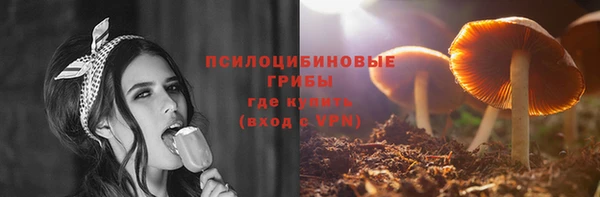дживик Алексеевка